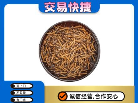 西安市未央礼品回收虫草.jpg